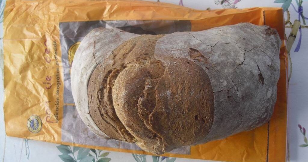 A IXP Pan de Cea acadou no 2025 un valor estimado case 1,15 millóns de euros