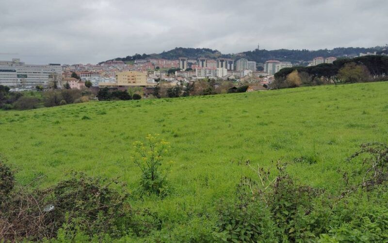 Asemblea para aprobar o proxecto dun aparcadoiro disuasorio en Finca Mariñamansa