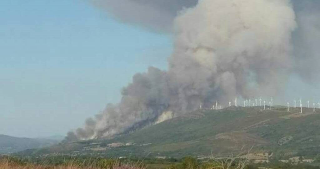 Medio Rural reforza a súa colaboración coa Deputación de Ourense