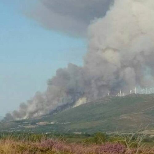 Medio Rural reforza a súa colaboración coa Deputación de Ourense