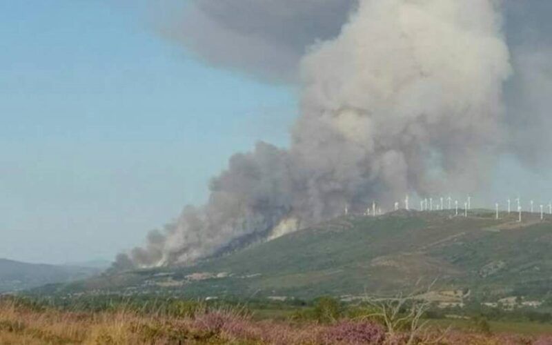 Medio Rural reforza a súa colaboración coa Deputación de Ourense