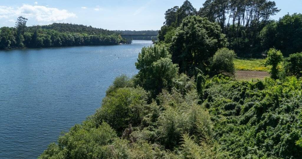 Un obradoiro de emprego unirá Tui con Tomiño