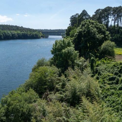 Un obradoiro de emprego unirá Tui con Tomiño