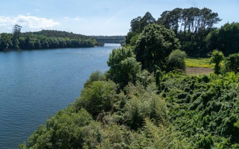 Un obradoiro de emprego unirá Tui con Tomiño