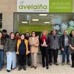 Avelaíña aposta pola inclusión dixital
