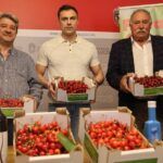 Ribas de Sil celebra esta fin de semana a Festa da Cereixa, Viño e Aceite