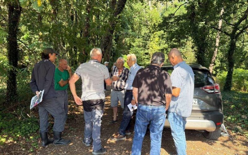 Ponteareas reparcelará A Lomba para solo industrial