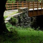 Xogal 2026 dinamizará o rural galego