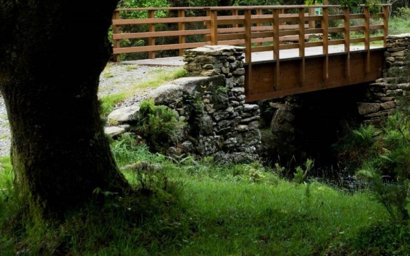 Xogal 2026 dinamizará o rural galego