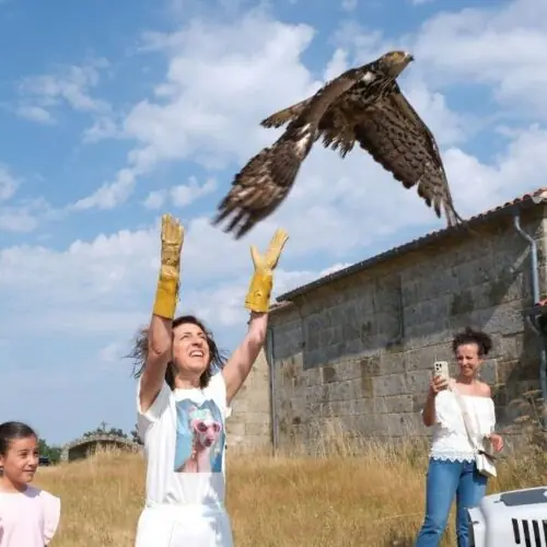 Tres exemplares de aves foron devoltos ao seu habitat no Monte Faro en Chantada