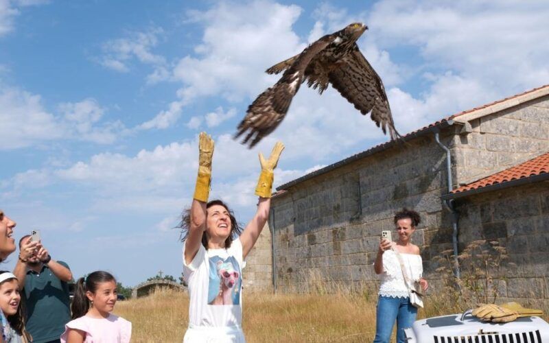 Tres exemplares de aves foron devoltos ao seu habitat no Monte Faro en Chantada