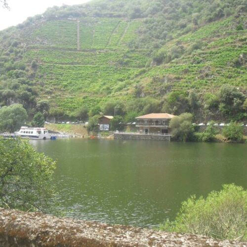 A Ribeira Sacra non será este ano Patrimonio da Humanidade