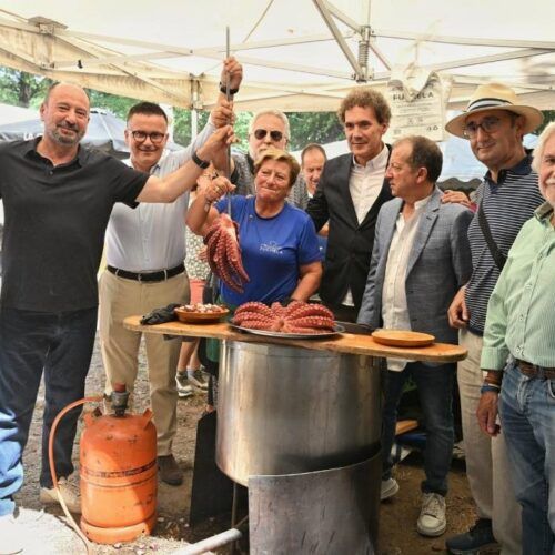Emigración destaca o potencial da Festa do Pulpo do Carballiño