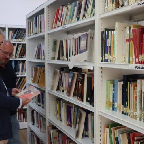 Cultura actualiza o Plan de normalización da lingua galega