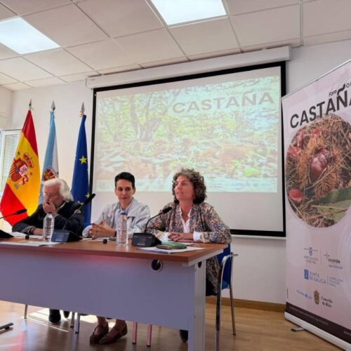 A Xunta de Galicia salienta a importancia do castiñeiro para o monte galego