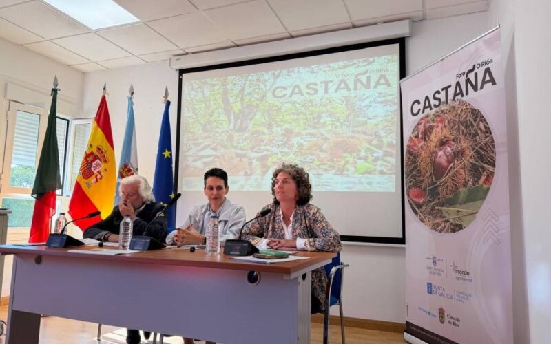 A Xunta de Galicia salienta a importancia do castiñeiro para o monte galego