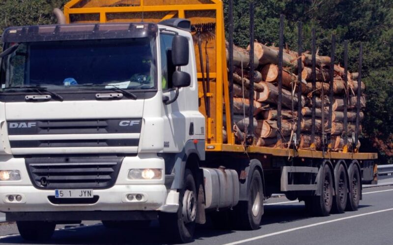 A Xunta de Galicia alleará 31 lotes de madeira nunha poxa pública en Ourense