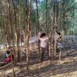 Voluntariado no Monte da Picaraña